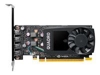 NVIDIA Quadro P1000 - Carte graphique - Quadro P1000 - 4 Go GDDR5 - PCIe 3.0 x16 profil bas - 4 x Mini DisplayPort - Adaptateurs inclus VCQP1000V2-PB