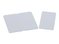 Evolis 3TAG - Polychlorure de vinyle (PVC) - 30 mil - blanc vide - CR-80 Card (85.6 x 54 mm) 100 carte(s) cartes - pour Edikio Flex; Badgy 100, 200; Evolis Primacy, Zenius C4521