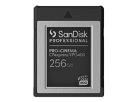 SanDisk - Carte mémoire flash - 256 Go - CFexpress de type B - noir SDPCVN4-256G-GNANN