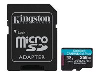 Kingston - Carte mémoire flash (adaptateur microSDXC vers SD inclus(e)) - 256 Go - A2 / Video Class V30 / UHS-I U3 / Class10 - microSDXC UHS-I SDCG3/256GB