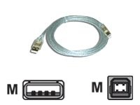 MCL - Câble USB - USB (M) pour USB type B (M) - USB 2.0 - 3 m - translucide MC922AB/TG-3M