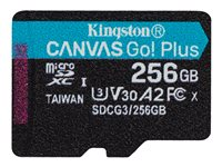 Kingston Canvas Go! Plus - Carte mémoire flash - 256 Go - A2 / Video Class V30 / UHS-I U3 / Class10 - microSDXC UHS-I SDCG3/256GBSP