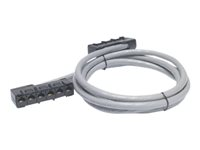 APC Data Distribution Cable - Câble de réseau - RJ-45 (F) pour RJ-45 (F) - 10.7 m - UTP - CAT 5e - gris DDCC5E-035