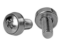 StarTech.com 12-24 Server Rack Screws - 50 pack - Nickel-plated - Vis de rack - argent - gouvernement US (pack de 50 pièces) - pour P/N: RK630WALVS, RK830WALVS CABSCRWS1224