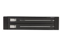 StarTech.com Rack amovible 3.5" sans tiroir pour 2 disques durs 2.5" - Face arrière 3.5 pouces - Echangeable à chaud - Hot swap - Adaptateur pour baie de stockage - noir HSB220SAT25B