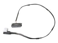 Dell - Kit de câbles internes SAS - pour PowerEdge T630 405-AAGO