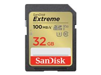 SanDisk Extreme - Carte mémoire flash - 32 Go - Video Class V30 / UHS-I U3 / Class10 - SDHC UHS-I SDSDXVT-032G-GNCIN